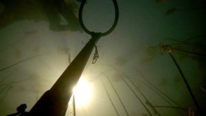 Мощное точное доработанное и бюджетное ружьё арбалет Salvimar VooDoo 60 великолепная точностью боя