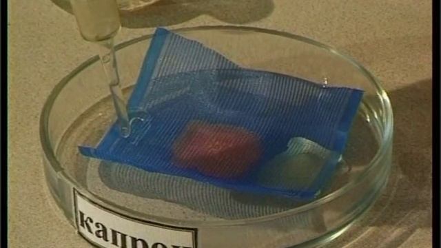 Изучение свойств капрона смотреть онлайн