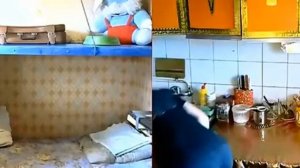 Грибабас шоу: Вильма просит Грибабаса присунать ей