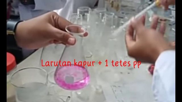 Praktikum Fermentasi Saccharomyces cerevisiae смотреть онлайн