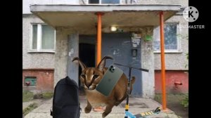 сериал про шлепу 1 серия 1 сезон