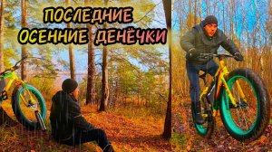 Последние Осенние деньки 🍂