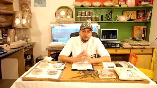 Выращивание вешенки - полезные советы.