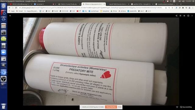 Aquaponic Greenhouse Towers + Mushrooms + Grow Beds смотреть онлайн