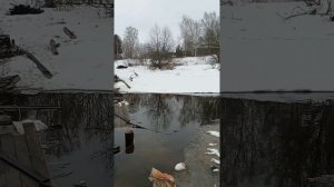 Монтаж опор моста через речку.