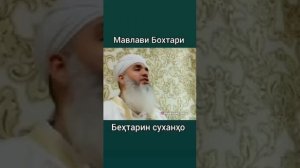 МАВЛАВИ БОХТАРИ ЗАНУ ШАВХАР