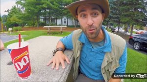 УКУС ОСЫ | КОЙОТ ПИТЕРСОН