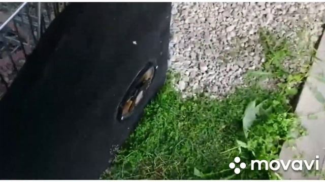 Басы  на сабе,я в деревне. смотреть онлайн