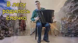 В лесу родилась ёлочка ♫ Импровизация на баяне от Александра ♫