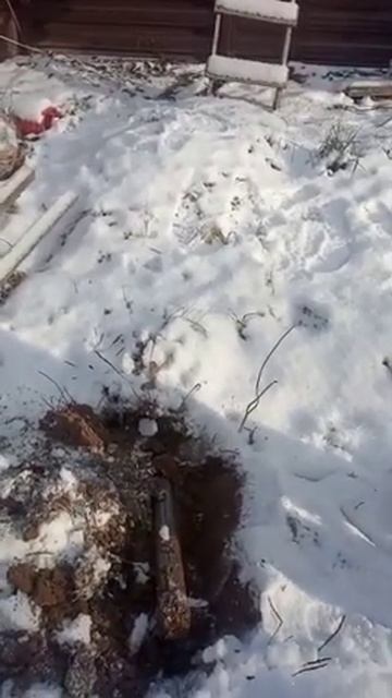 VID 20220125 WA0002