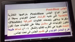 Class:Eurotiomycetes/الاستاذ الدكتور هادي علوان محمد الساعدي