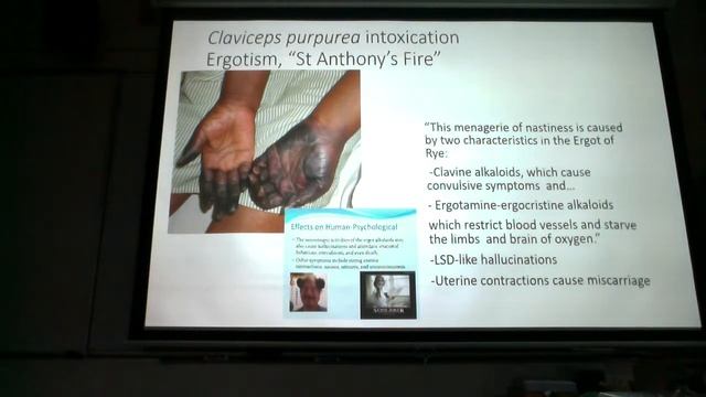 audio in Lab Oct 1 Fungi part 2 Symbiotic Fungi смотреть онлайн