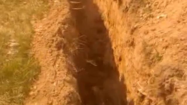 kryptinis grezimas uab Aiba.mp4 смотреть онлайн