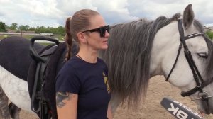 Вольтижировка: что это такое?