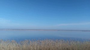 На самом деле из камыша