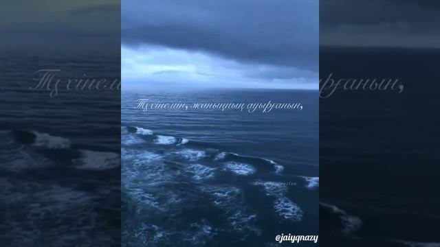 Шыда шыда! Шыдай түс шыда тағы!