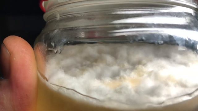 Фундук Трапезунд. Склероция трюфеля tuber magnatum и tuber melanosporum. смотреть онлайн