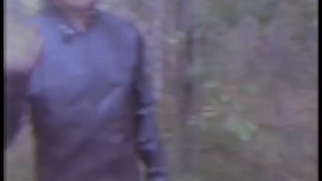 В Мирке Растений. 14 серия, коротко о главном. смотреть онлайн