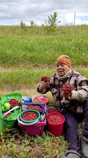 Ягоды - на заморозку на варенье на кОмПоТ 