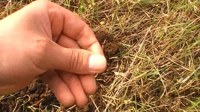 #серебро Богатая деревня с серебром. смотреть онлайн