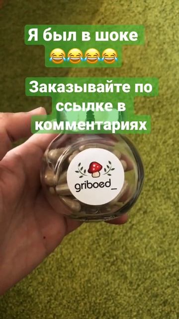 #микродозинг #мухомор #гриб #shorts #зависимость #ноотропы #ежовик #здоровье