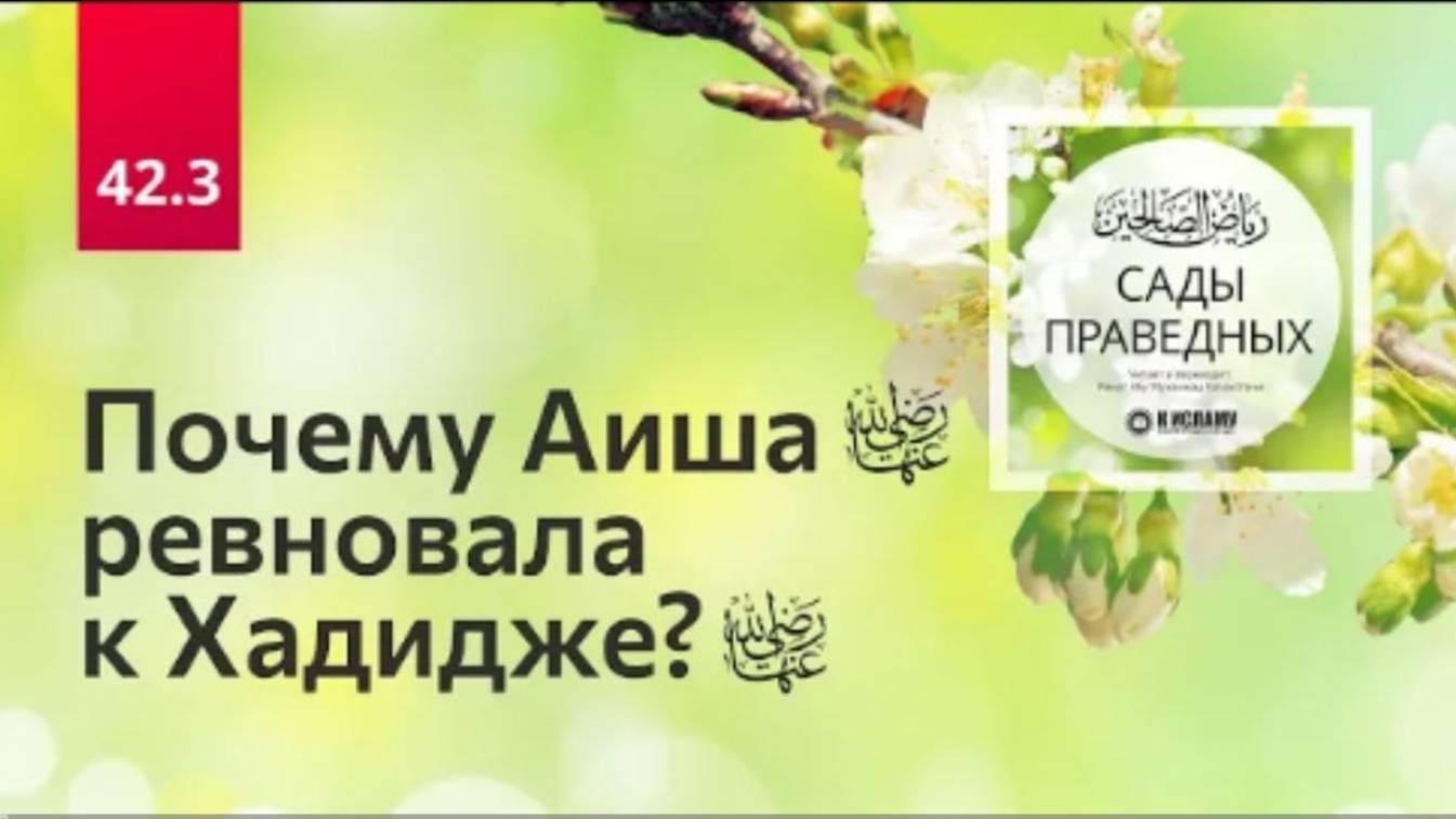 42.3 Почему Аиша ревновала к Хадидже (да будет доволен ими Аллах) Хадис 344. Сады праведных