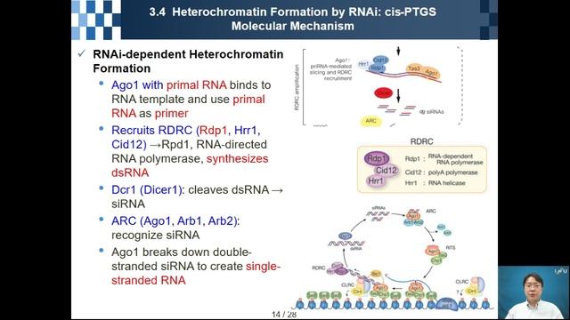 Epigenetics Chapter 03 смотреть онлайн