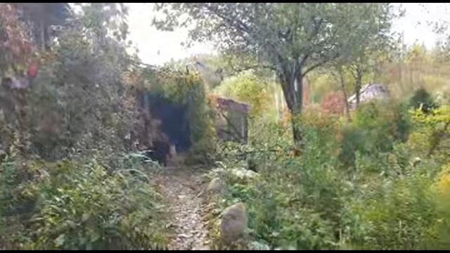 Стрим про деревенскую осень. смотреть онлайн