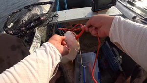 РЫБАЛКА НА КВОК И ДОНКИ КРОКОДИЛ💥 РЫБАЛКА НА СОМА И САЗАНА С ЛОДКИ