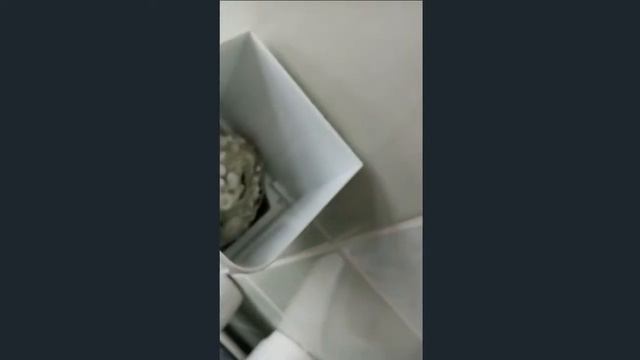ШОК!!! ШКОЛЬНИКИ НАШЛИ ТРЮФЕЛЬ СТОИМОСТЬЮ 999999!!!!!