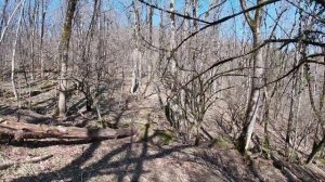 Самый лучший маршрут на Каменные грибы поселок Новый