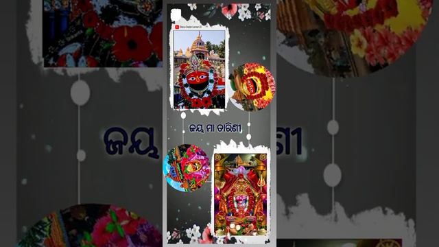 🙏🏻🙏🏻Odia Maa Tarini Bhajan|salua banaru tomandira jitikidura#statuscreaterlaxman03#odiabhajan#remix