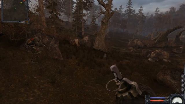 ЧН 12 Грибы и ягоды смотреть онлайн