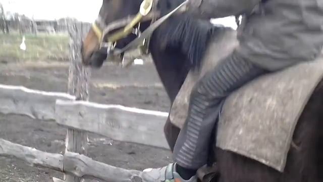 8 мая 2018 г. смотреть онлайн