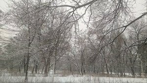 Молодогвардейская зима 20223 г