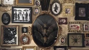 осенняя goblincore музыка | гоблинкор музыка | 🍂``🐌``🕸️