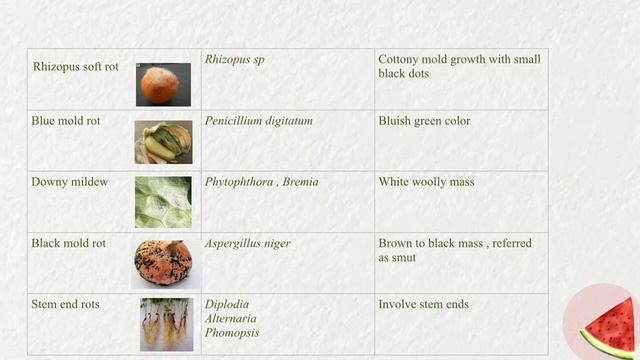 الميكروبات المسببة لتلف الخضروات والفواكه смотреть онлайн
