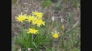 Конно-водный тур по Алтаю