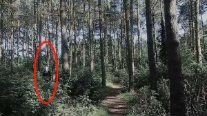 │ФАКТЫ О СЛЕНДЕРМЕНЕ │ ЧТО МЫ ЗНАЕМ О СЛЕНДЕРЕ │ SLENDERMAN│Слендер