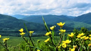 Фотопейзажи Адыгеи (часть вторая)