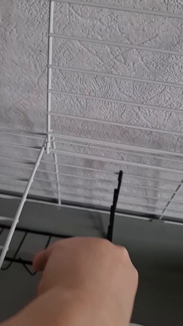 Для грызунов смотреть онлайн