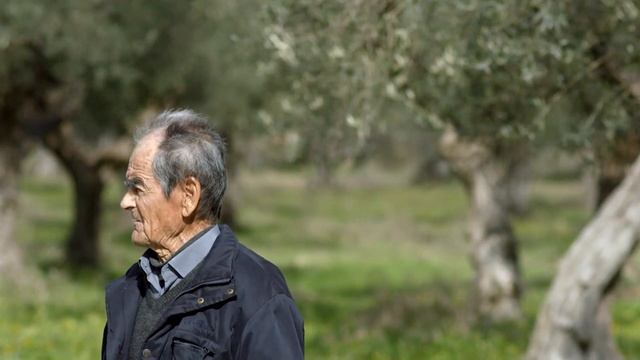 Μουσείο Ελιάς και Ελληνικού Λαδιού, Σπάρτη смотреть онлайн