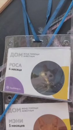 🐱➡️🏠💞 Привет из дома от Росы!