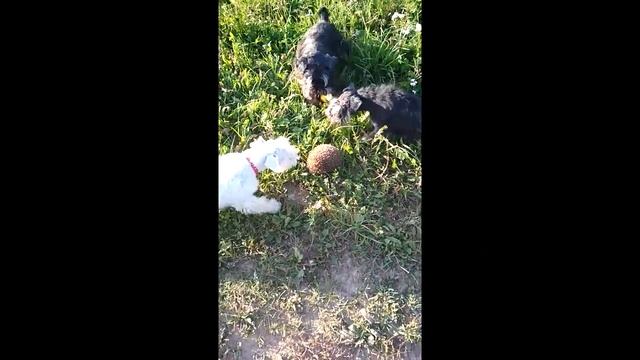 НЛО существует! смотреть онлайн