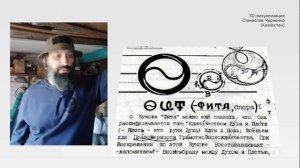 Всеясветная букова Фита