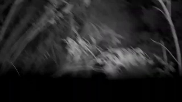 Логойские милиционеры и спасатели нашли потерявшуюся в лесу пожилую женщину смотреть онлайн