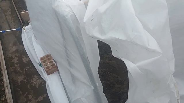 Небольшой недорогой парничок 6 х2 за 3 часа!!! смотреть онлайн