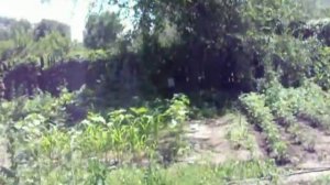 Cometa Fusion S-Star cal.4.5