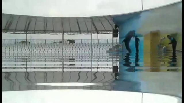 Дільфінарій смотреть онлайн