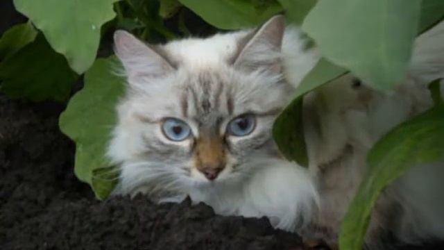 Фотоконкурс «Весёлые каникулы» смотреть онлайн